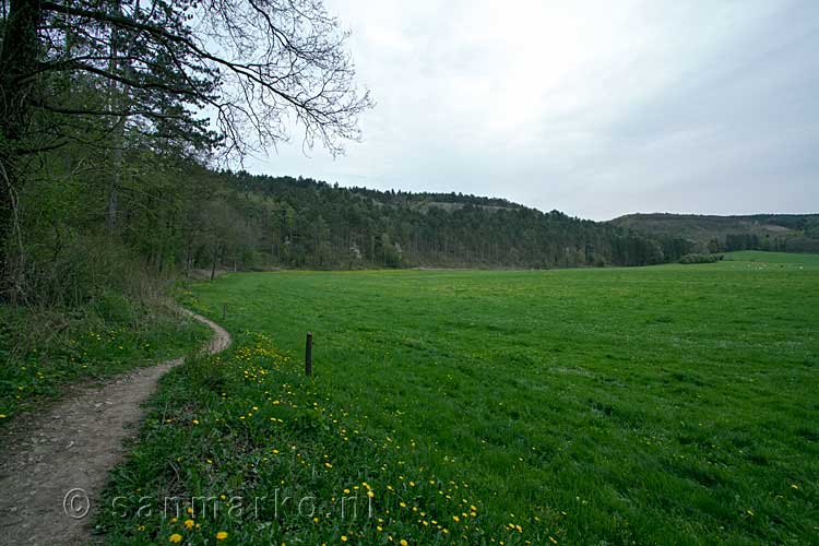 Het wandelpad langs de weilanden bij Han-sur-Lesse richting Belvaux