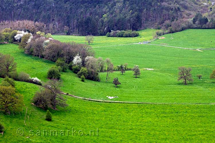 Nog een mooi uitzicht over de weilanden bij Han-sur-Lessen in België