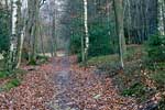 Het wandelpad door de bossen rondom Harre in de Ardennen