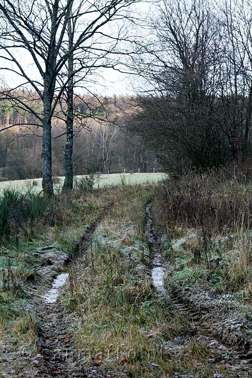 De bevroren bandensporen in de bossen rondom Harre in de Ardennen
