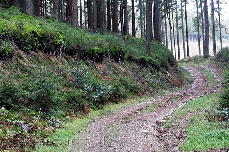 Het wandelpad door de bossen bij Harre in de Ardennen