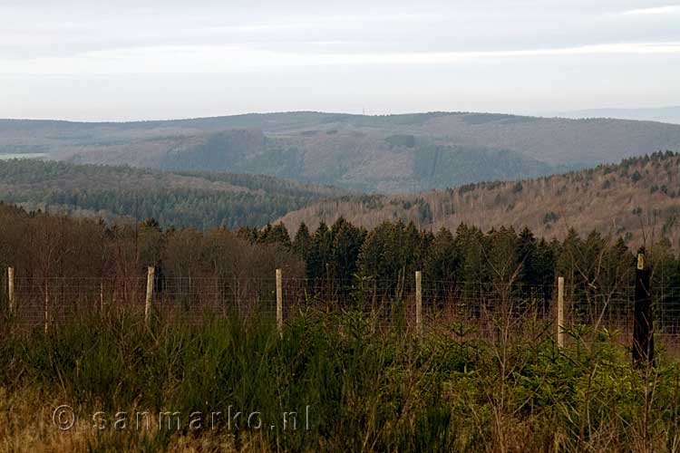 Tijdens onze wandeling hebben we een mooi uitzicht over de Ardennen