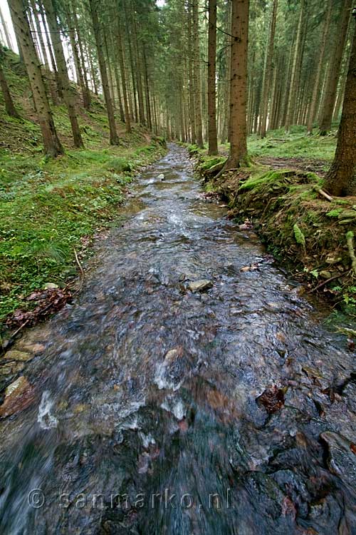 We wandelen langs een leuk beekje in de bossen rondom Harre