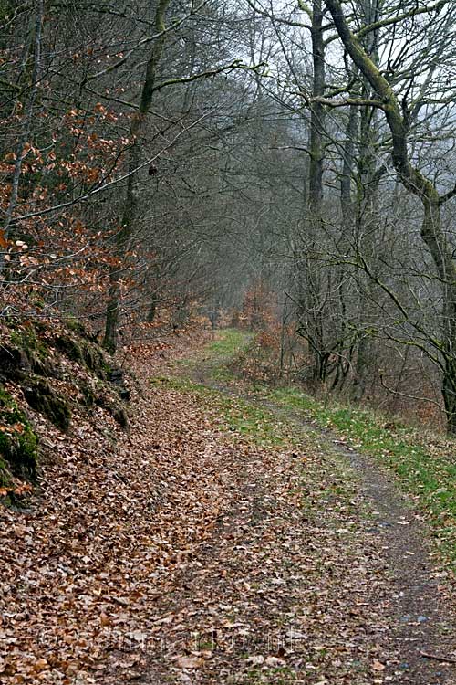 Het wandelpad door La vallée de l'Antrogne tijdens onze wandeling terug naar Herbeumont