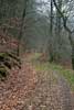 Het wandelpad door La vallée de l'Antrogne tijdens onze wandeling terug naar Herbeumont