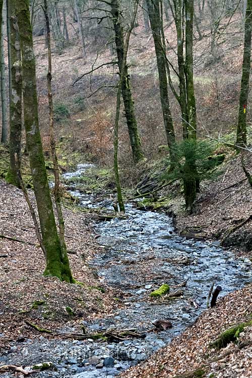 Het laatste mooie uitzicht tijdens deze wandeling bij Herbeumont