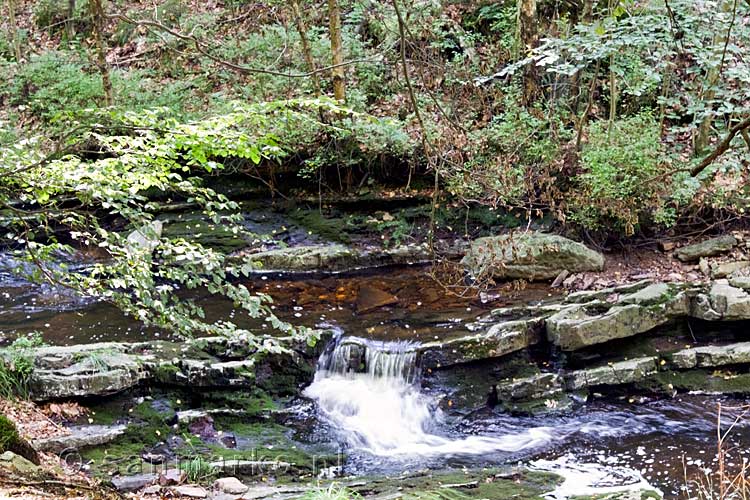 Een klein watervalletje in de La Statte in de Ardennen in België