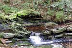 Een klein watervalletje in de La Statte in de Ardennen in België