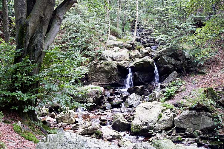 De Cascade des Nutons in de La Statte in de Ardennen