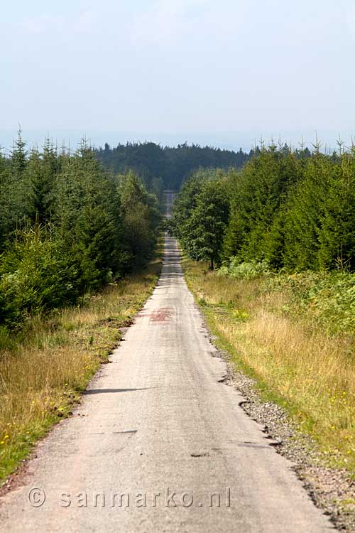 De lange rechte weg richting de Hoge Venen in de Ardennen