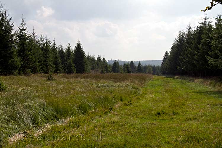 Het 'pad' van de Hoge Venen richting La Hoëgne in de Ardennen