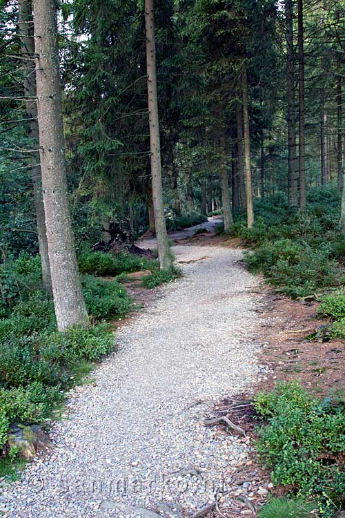 Het begin van de wandeling langs de La Hoëgne in de Ardennen