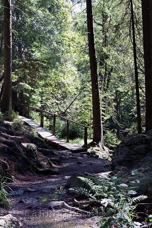 Ook veel bruggetjes bij de La Hoëgne in de Ardennen