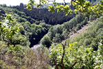 Het eerste uitzicht over de Ourthe bij Nadrin