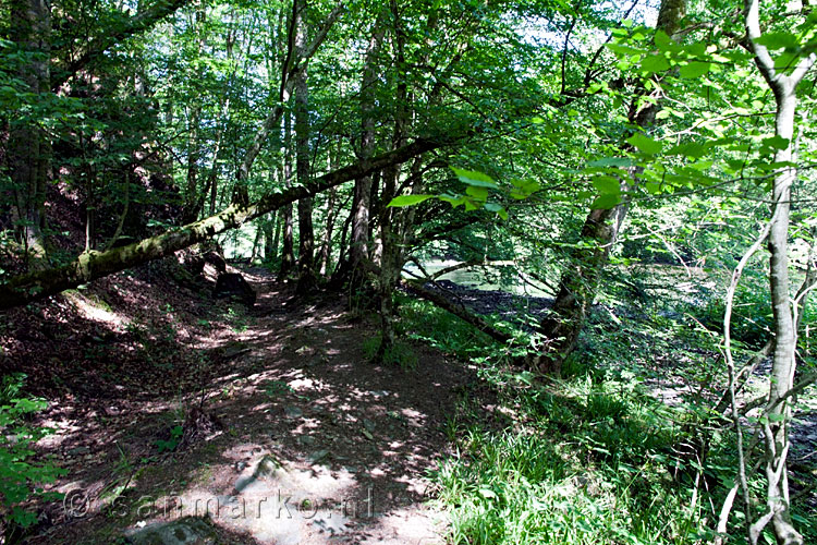 Het wandelpad langs de Ourthe bij Nadrin, vlakbij La Roche-en-Ardenne