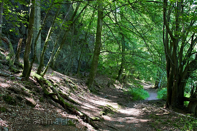 De rotsen langs het wandelpad langs de Ourthe bij Nadrin in de Ardennen