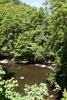 Uitzicht op de Ourthe vanaf het wandelpad bij Nadrin in de Ardennen