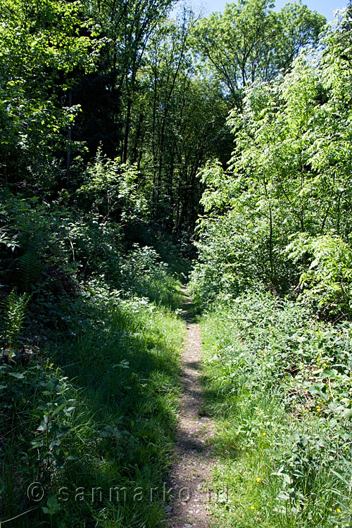 Het wandelpad langs de Ourthe is omgeven door groen