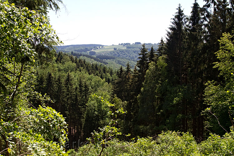 Uitzicht vanaf het wandelpad over het dal van de Ourthe