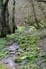 Het wandelpad langs de Lesse bij Lesse in de Ardennen in België