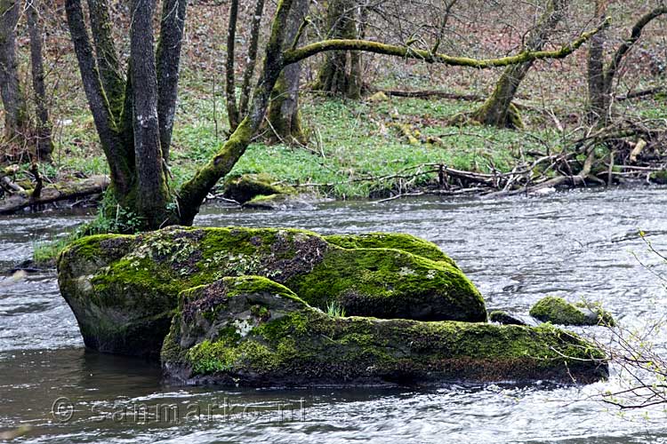 Begroeide rotsen in de Lesse in de Ardennen in België