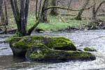 Begroeide rotsen in de Lesse in de Ardennen in België