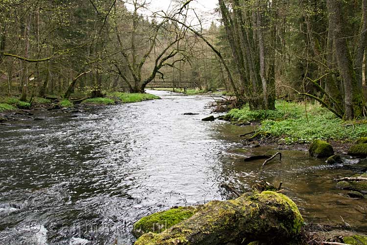 Vanaf het wandelpad een mooi uitzicht over de Lesse bij Lesse