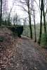 Een uitstekende rots over het wandelpad bij Lesse in de Ardennen