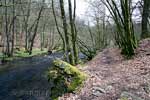 Het wandelpad aan de andere kant van de Lesse bij Lesse in de Ardennen