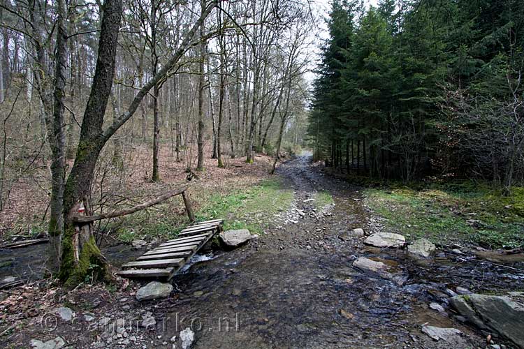 Een gammel bruggetje over een zijstroom van de Lesse in de Ardennen