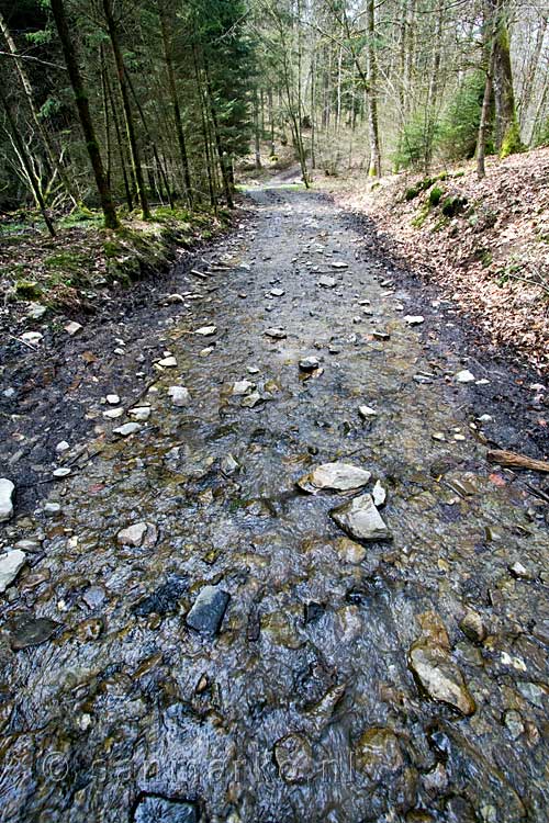 Het wandelpad is veranderd in een rivier na hevige regenval bij Lesse