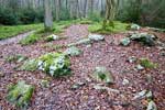 De natuur langs het wandelpad in de bossen bij de Ninglinspo