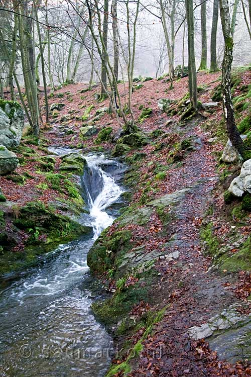 Het wandelpad langs oever van de Ninglinspo in de Ardennen in België