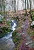 Het wandelpad langs oever van de Ninglinspo in de Ardennen in België