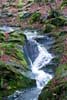 Een kleine waterval in de Ninglinspo bij Noncèveux in de Ardennen