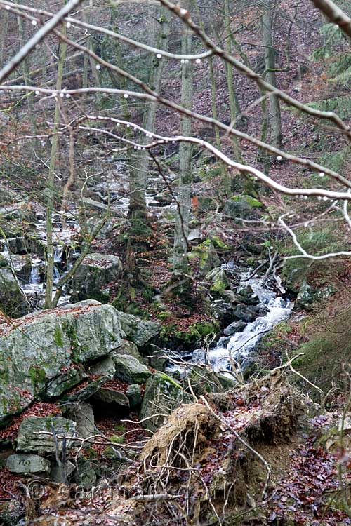 De mooie natuur langs de Ninglinspo in de Ardennen in België