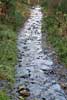 Door de hevige regenval is het wandelpad veranderd in een rivier