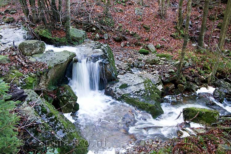 Een leuke waterval in de Chefna in de Ardennen in België