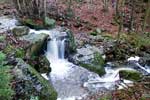 Een leuke waterval in de Chefna in de Ardennen in België