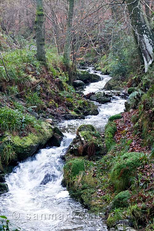 De natuur rondom de Chefna bij Noncèveux in de Ardennen in België