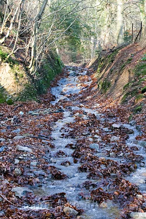 Het wandelpad is door de hevige regenval een waterval geworden