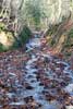 Het wandelpad is door de hevige regenval een waterval geworden