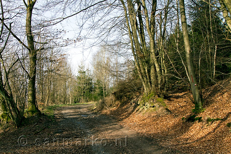 Wandelen over de onverharde bosweg bij Odeigne in de Ardennen