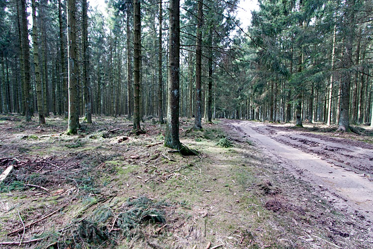 Tot je enkels in de drek op dit bospad richting Odeigne in de Ardennen