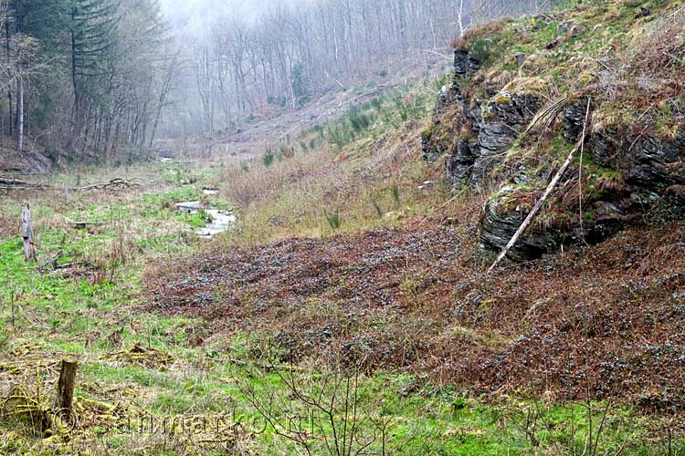 Het eerste mooie uitzicht over de vallei bij Orchimont in de Ardennen