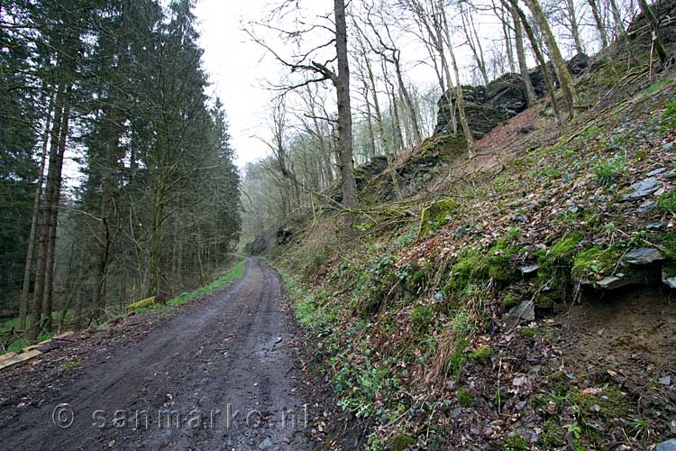 Over een breed bospad wandelen we rond Orchimont in België