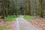 Het wandelpad door de mooie bossen bij Orchimont in de Ardennen