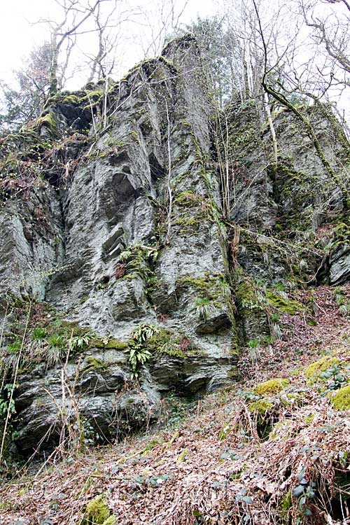 Grote overgroeide rotswanden bij Orchimont in de Ardennen