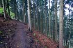 Door de bossen langs een steile afgrond wandelen we naar de Warche