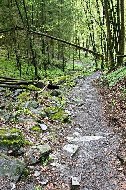 Het wandelpad tijdens onze rondwandeling langs de Warche en Chateau Reinhardstein